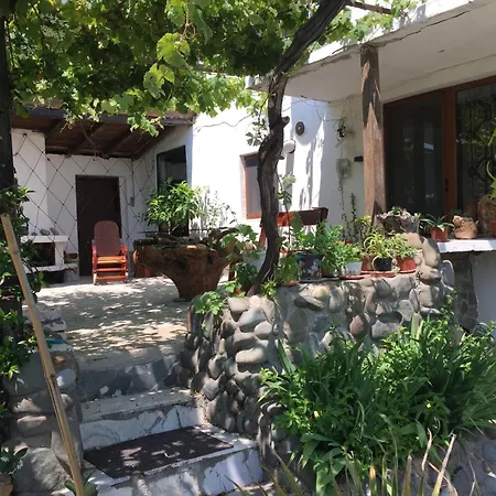 Sinemoria * 辛尼莫雷特