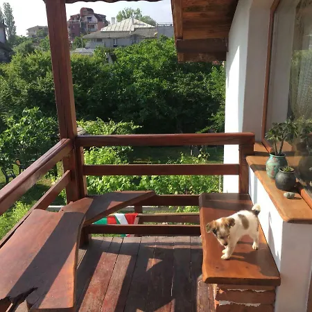 Sinemoria Sinemoreț