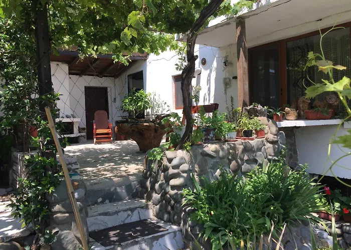 Sinemoria * Sinemorec